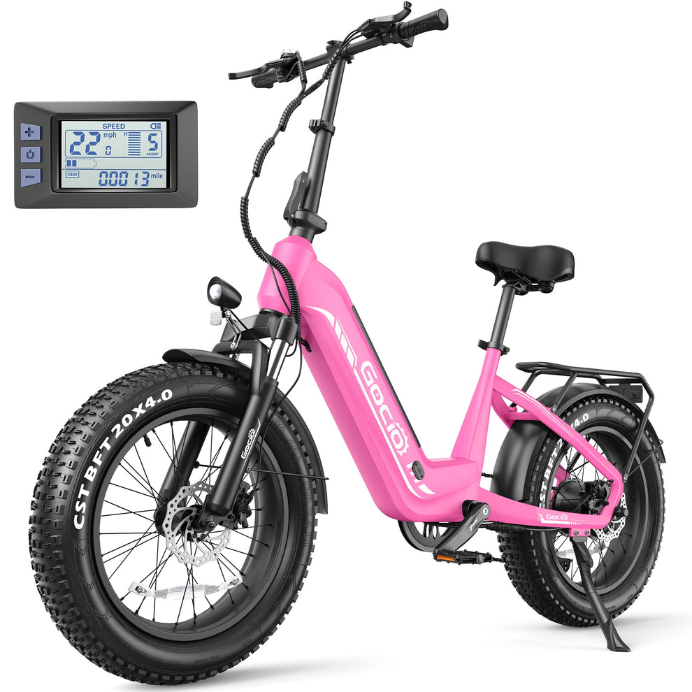 Ebike - EMTB 20*4.0 inch 624 Wh 48V 500W