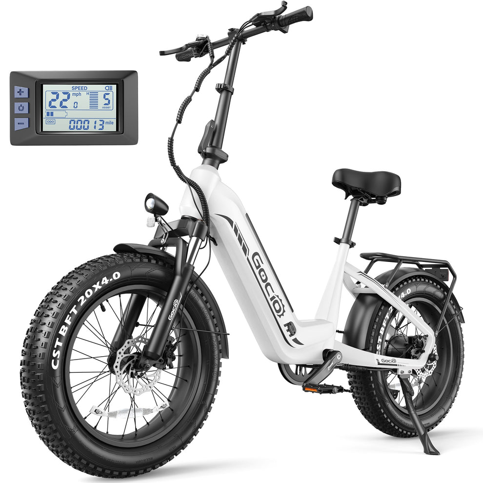 Ebike - EMTB 20*4.0 inch 624 Wh 48V 500W