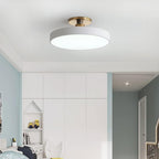 Lighting - Intelligent modern surface mounted bedroom living room light, ceiling light, metal circular