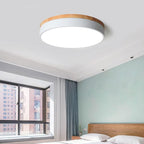 Lighting - Modern ceiling light dimmable smart home lighting fixtures for bedrooms and living rooms