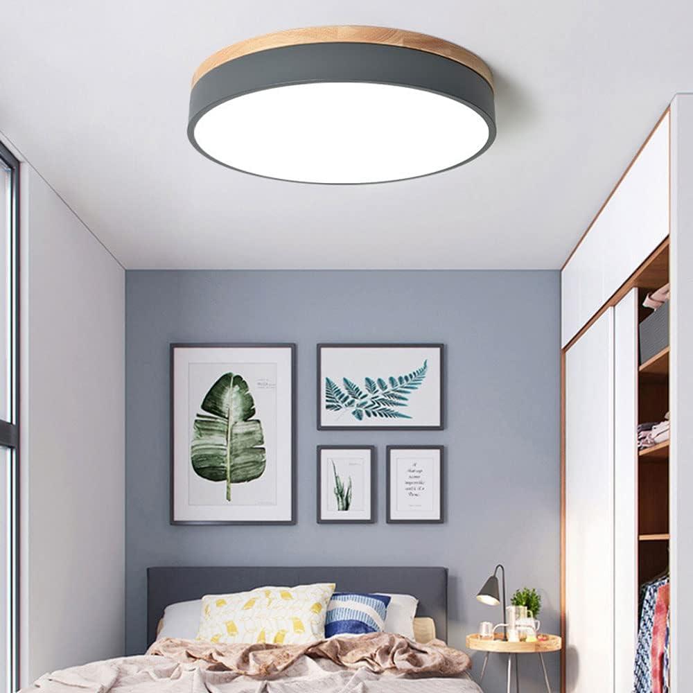 Lighting - Modern ceiling light dimmable smart home lighting fixtures for bedrooms and living rooms