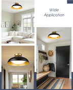 Lighting - High quality modern black gold combination ceiling light indoor dimmable ceiling light